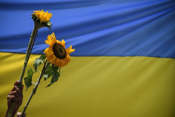 Sunflowers in front of a Ukrainian flag