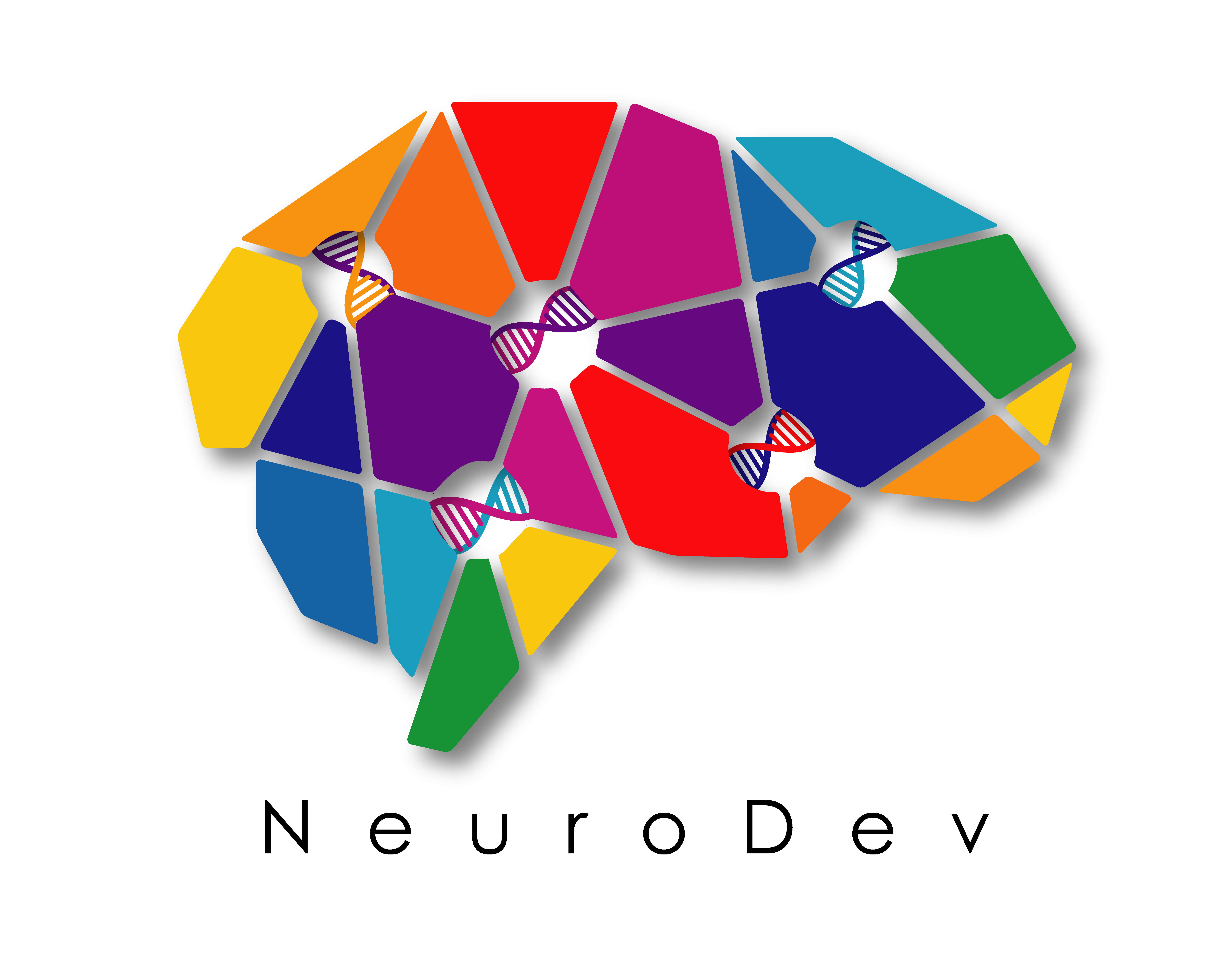 Advancing Neurodevelopmental Research in Africa:  The NeuroDev Study